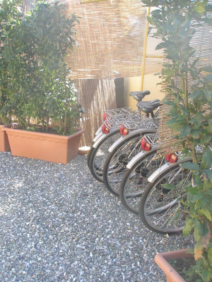 B&B La Rondine Tra Pisa E Lucca San Giuliano Terme Buitenkant foto