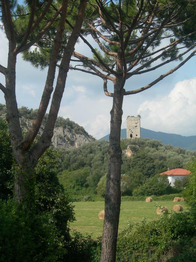 B&B La Rondine Tra Pisa E Lucca San Giuliano Terme Buitenkant foto