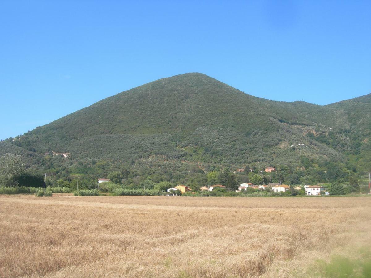 B&B La Rondine Tra Pisa E Lucca San Giuliano Terme Buitenkant foto